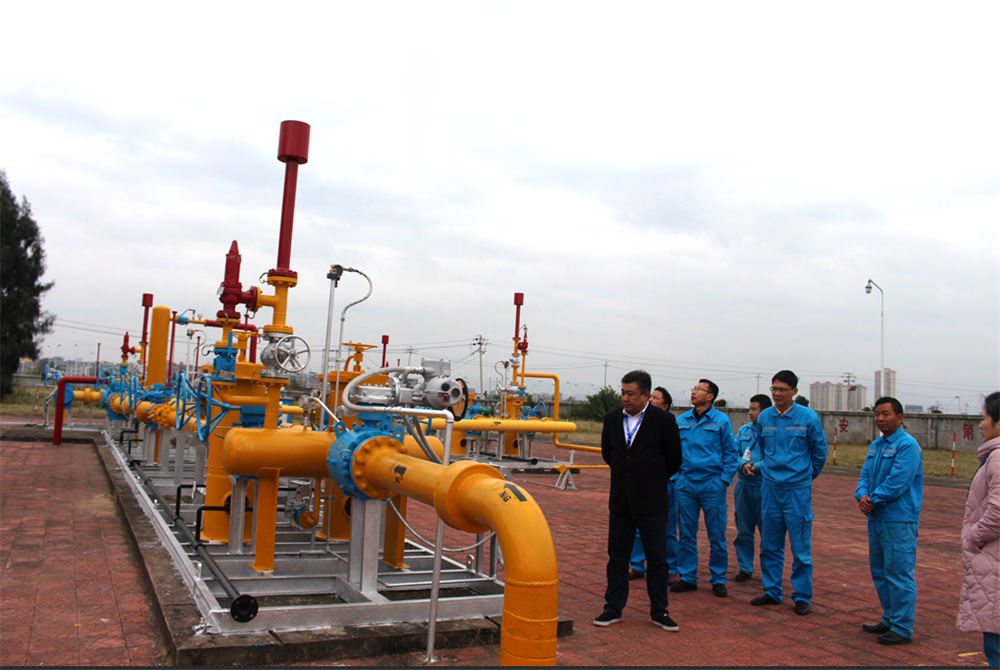 圖片6.png 圖片6.png